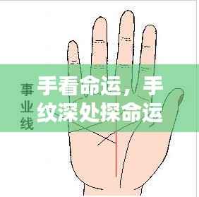 手纹探命运，手掌纹路揭示人生轨迹