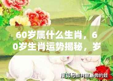 岁月流转下的福泽与智慧，揭秘60岁生肖运势与生肖属性解析