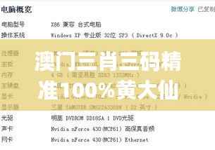 澳门三肖三码精准100%黄大仙,模型解答解释落实_3D3.146