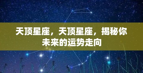揭秘天顶星座运势走向，未来运势预测与解析