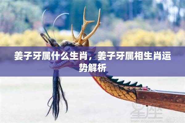 姜子牙生肖运势解析，揭秘属相运势特点与未来走向