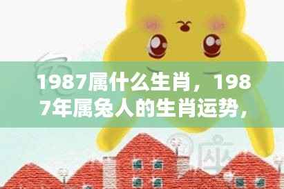 揭秘生肖兔，1987年属兔人的命运轨迹与人生起伏解析