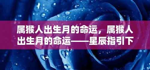 精雕细刻 第5页