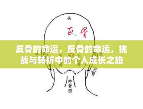 反骨命运，挑战转折中的个人成长之旅