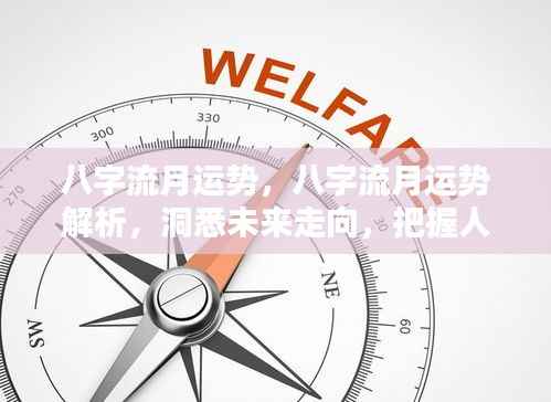 火伞高张 第5页