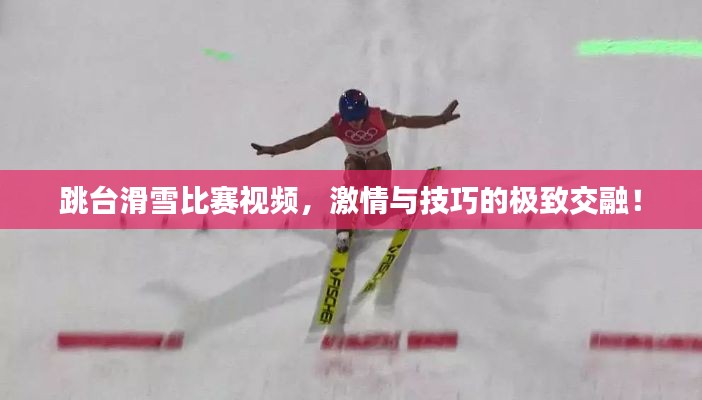 文贵天成 第4页