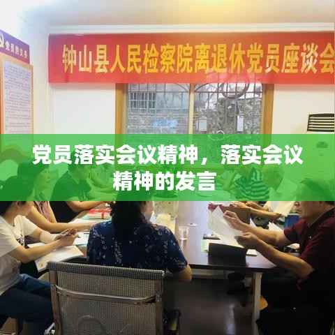 党员落实会议精神，落实会议精神的发言 