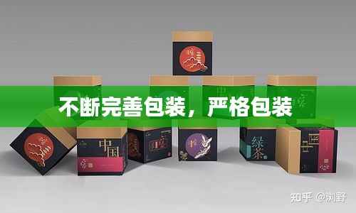 凤凰于飞 第5页