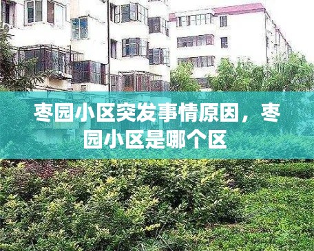 枣园小区突发事情原因，枣园小区是哪个区 