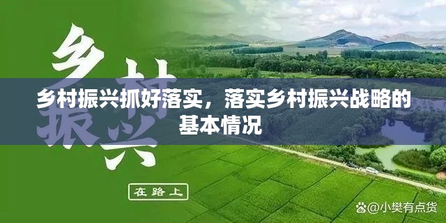 乡村振兴抓好落实，落实乡村振兴战略的基本情况 